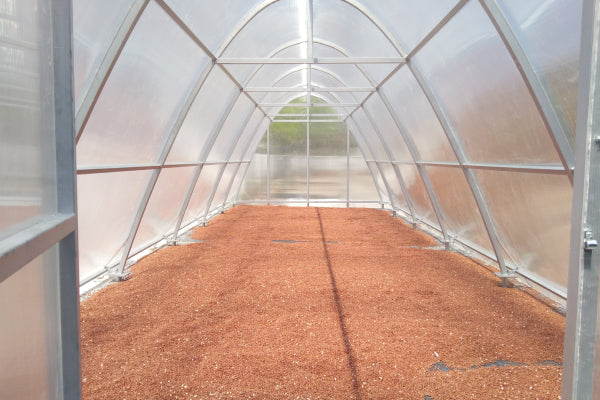 Solar Dried